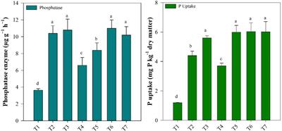 Exploring biochar and fishpond sediments potential to change soil phosphorus fractions and availability